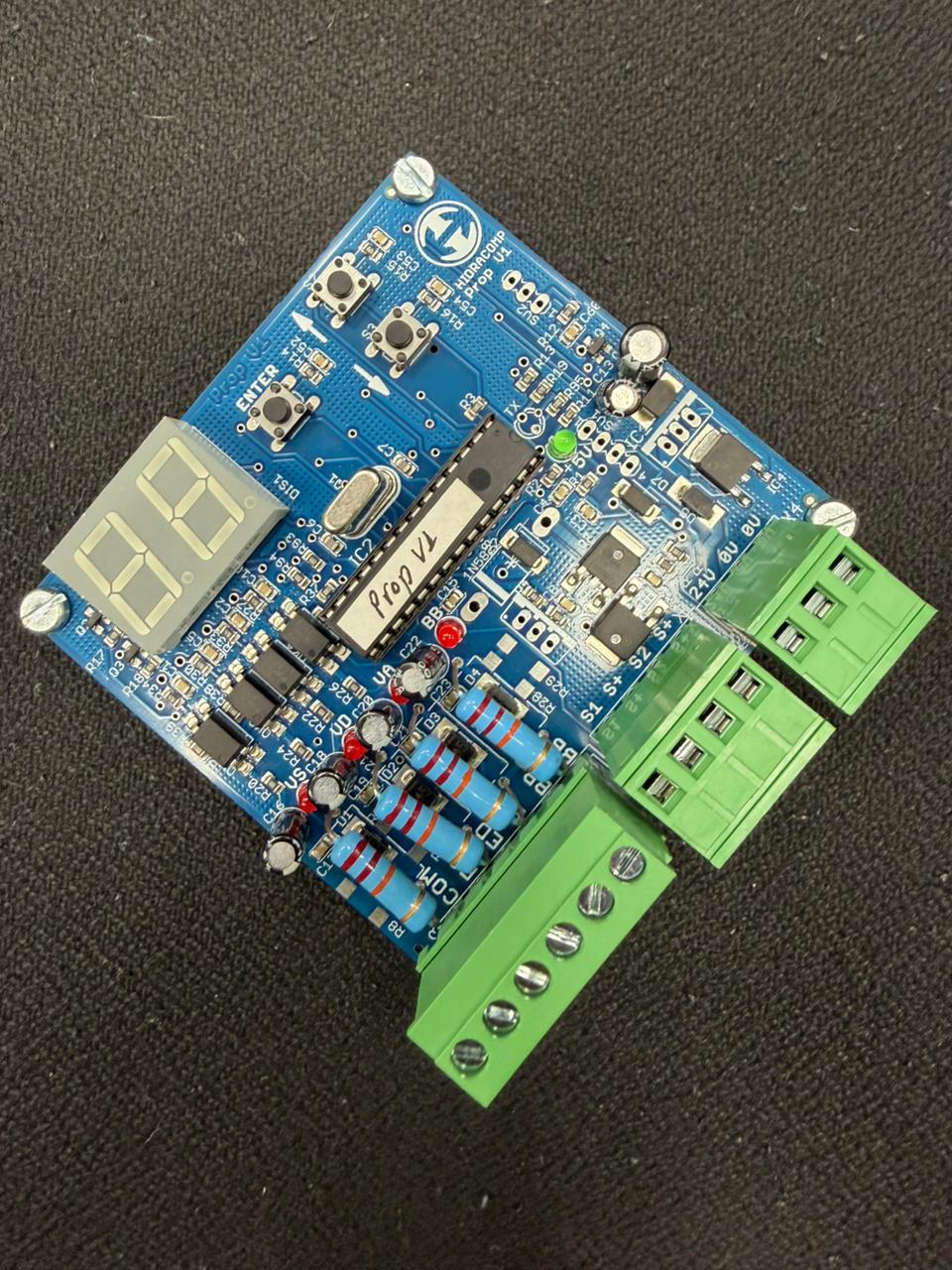 Placa Proporcional PCP-V1-WT
